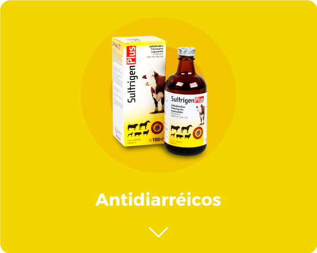 Antidiarréicos